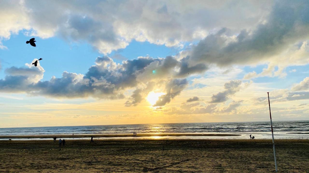 Mevira Appartement Zandvoort Bagian luar foto
